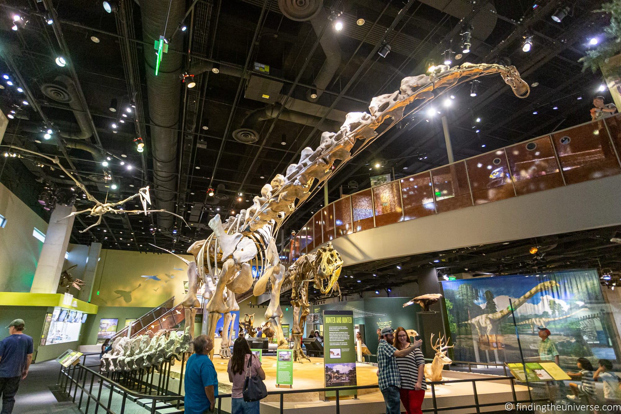 Perot Museum of Nature and Science Dallas