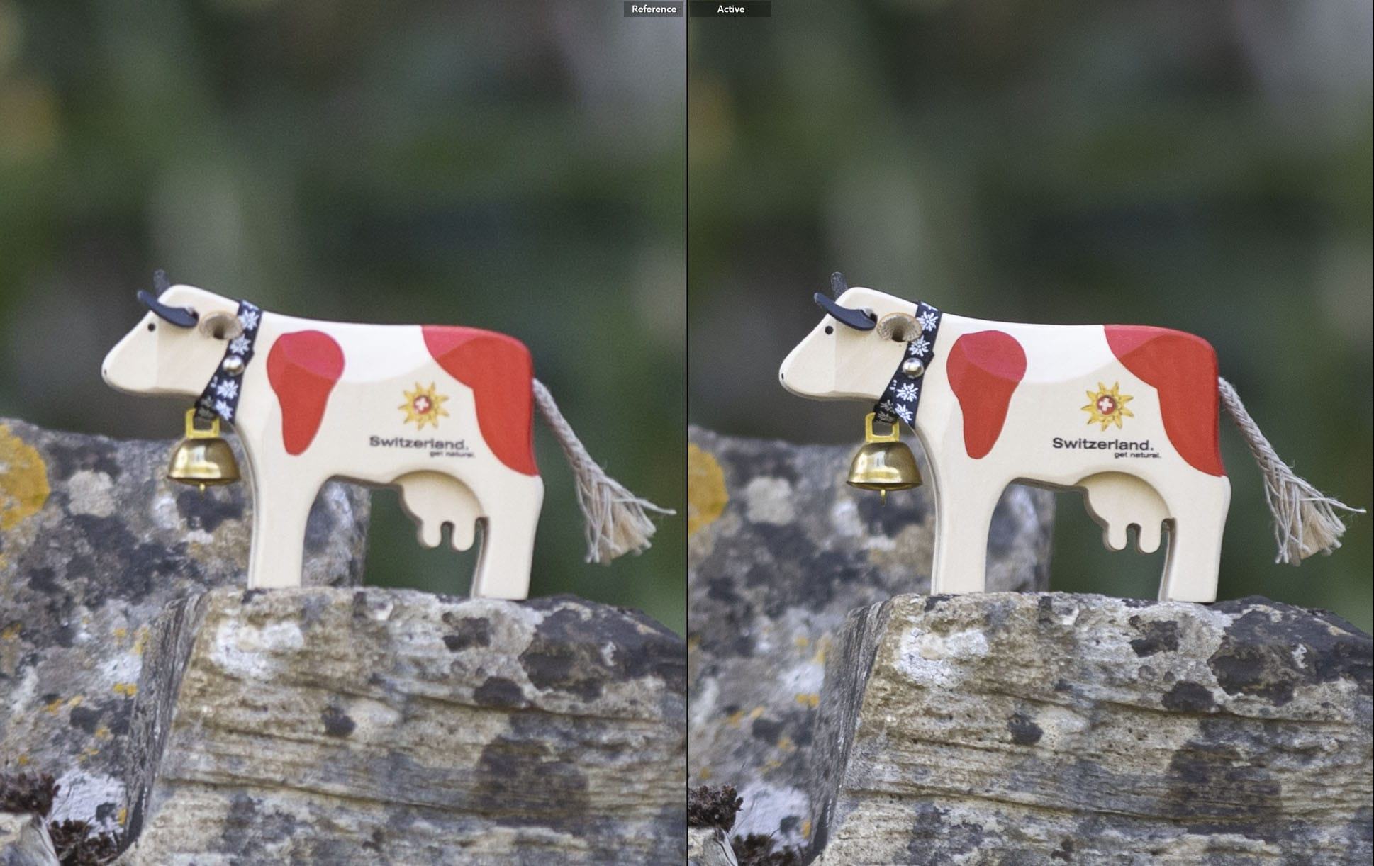 20 megapixel vs 45 megapixel 100 percent crop same zoom