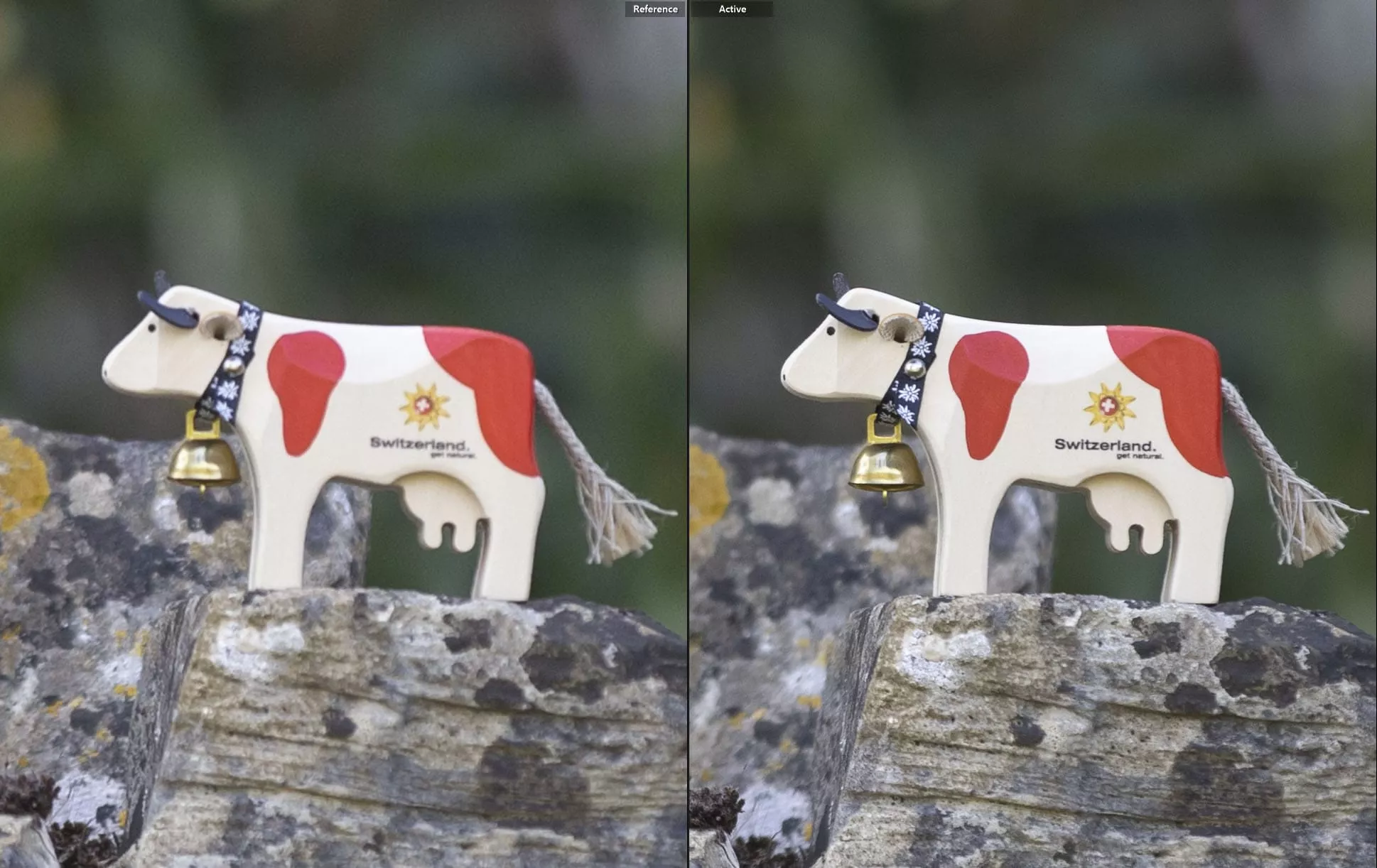 20 megapixel vs 45 megapixel 100 percent crop same zoom