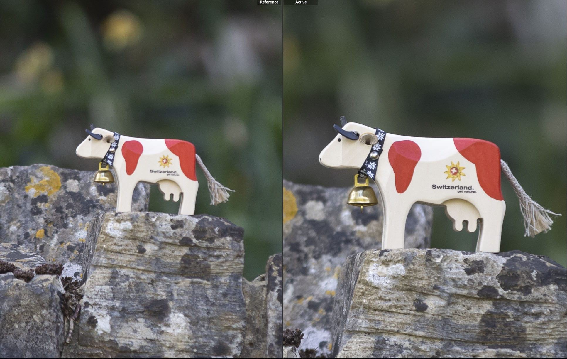 20 megapixel vs 45 megapixel 100 percent crop