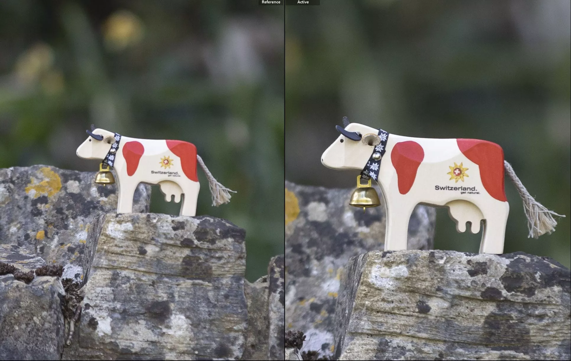 20 megapixel vs 45 megapixel 100 percent crop