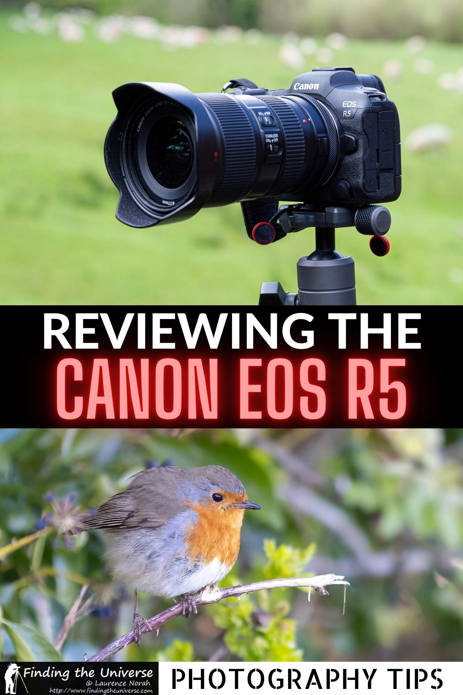 Canon EOS R5 Review. A detailed overview of all the pros and cons of this camera from a professional travel photographer.