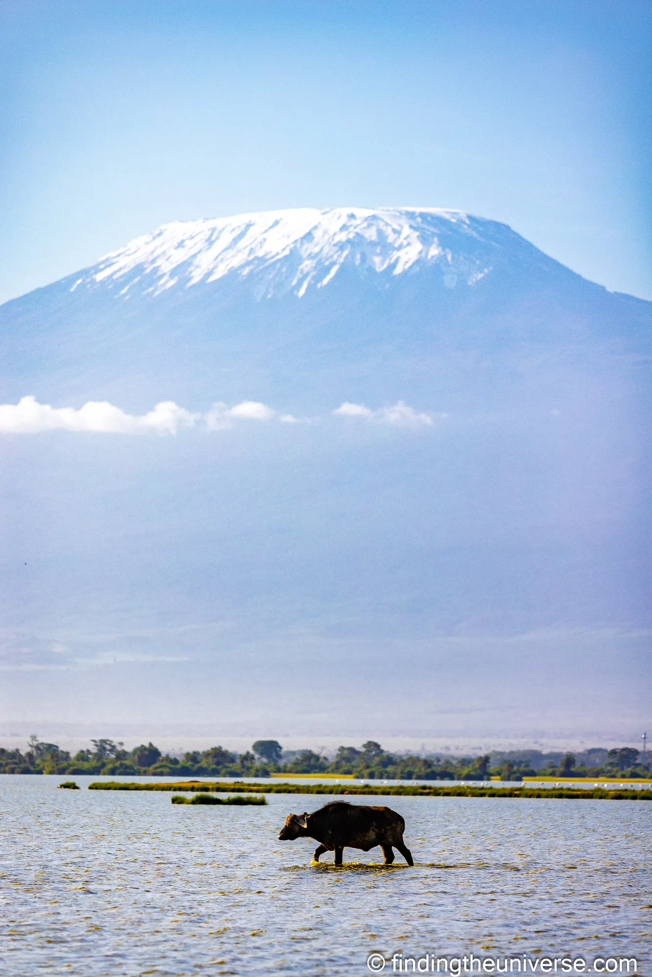 Mount Kilimanjaro from the Kenya-Tanzania border