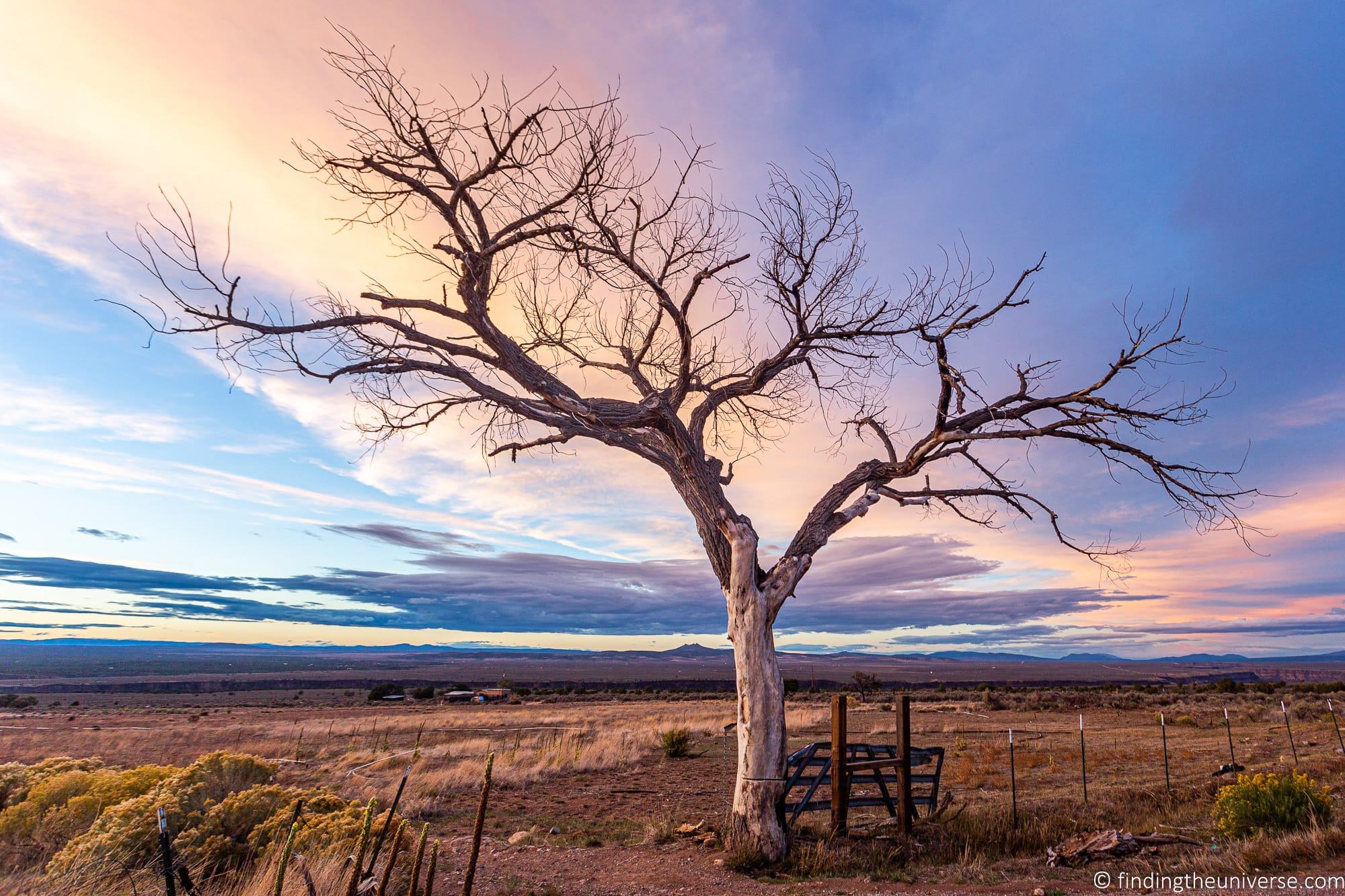 Landscape Photography Tips