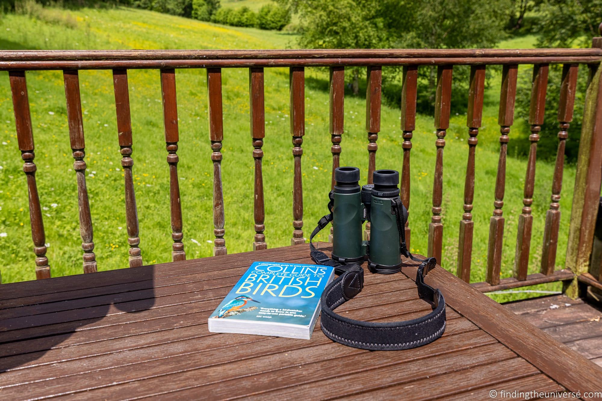 Binoculars and bird book