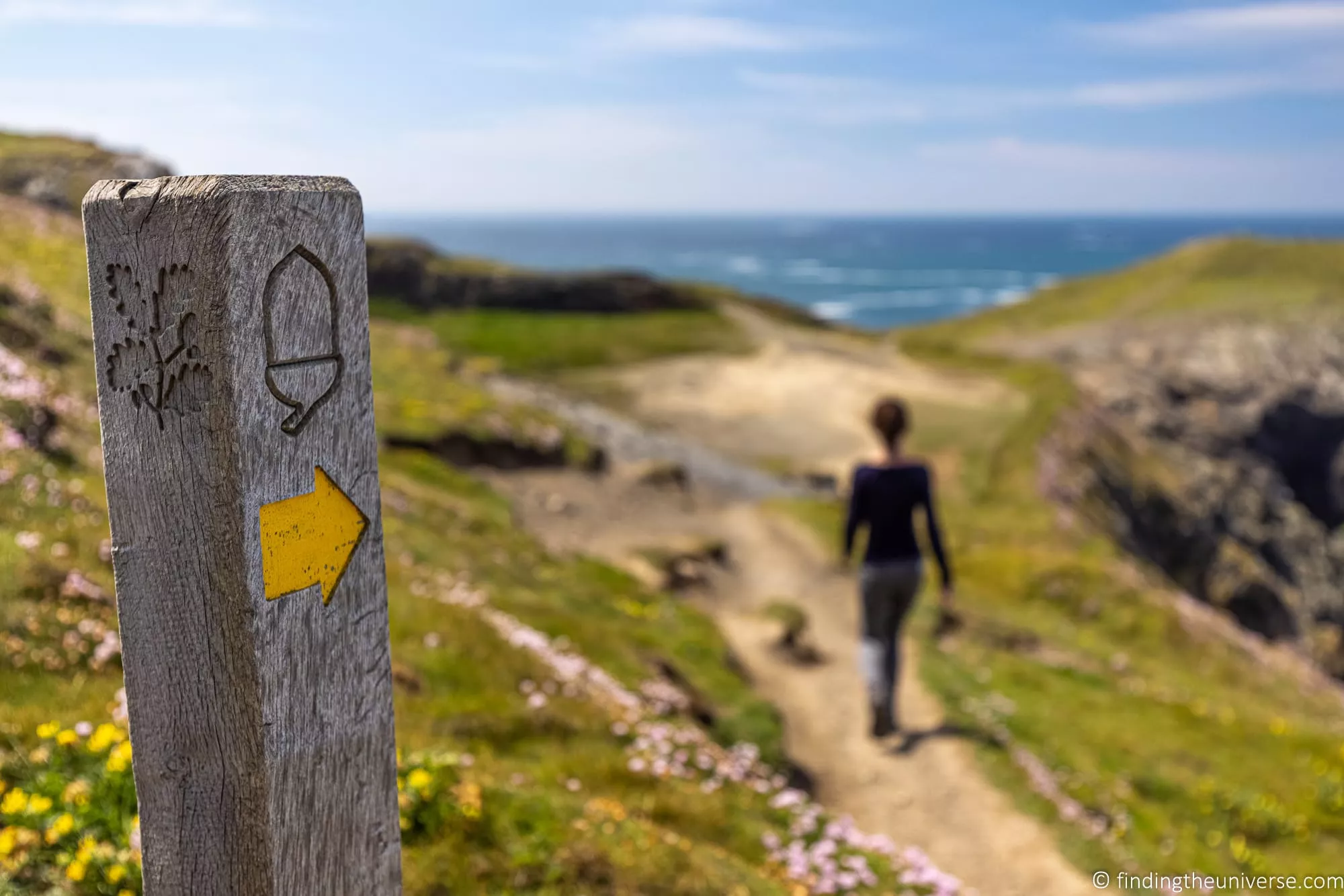 A stretch of the South West Coast Path along the Cornwall coastline