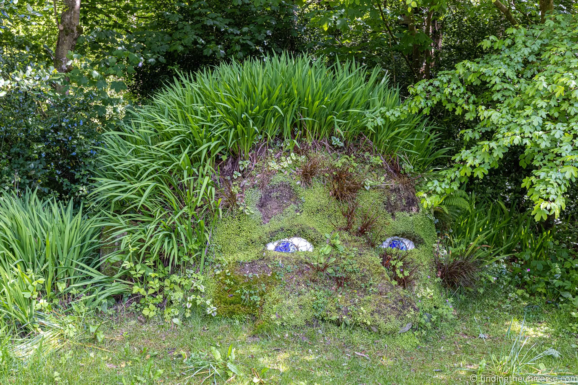 Planting and pathways at the Lost Gardens of Heligan in Cornwall