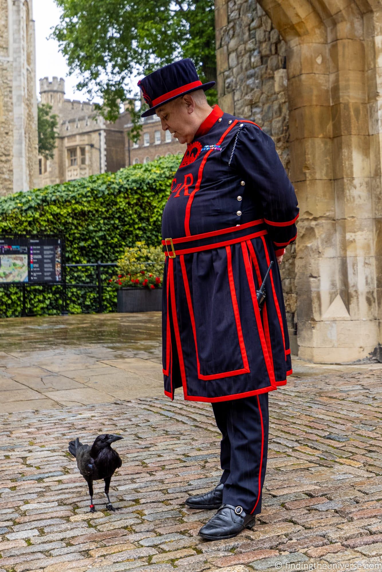 Beefeater and Raven Tower of London