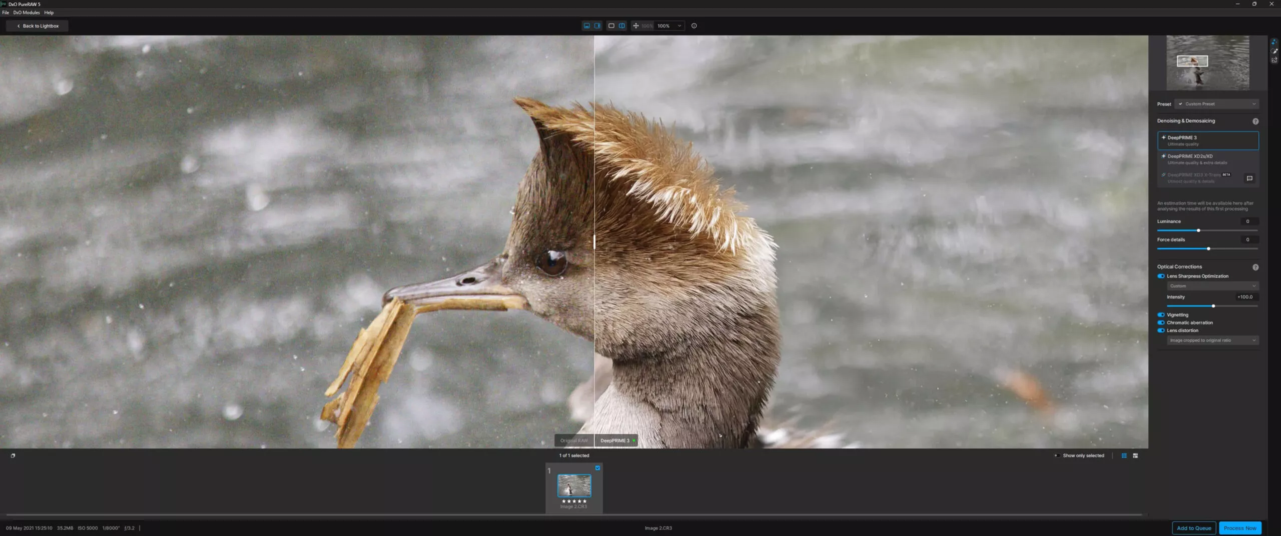 DxO PureRAW 5