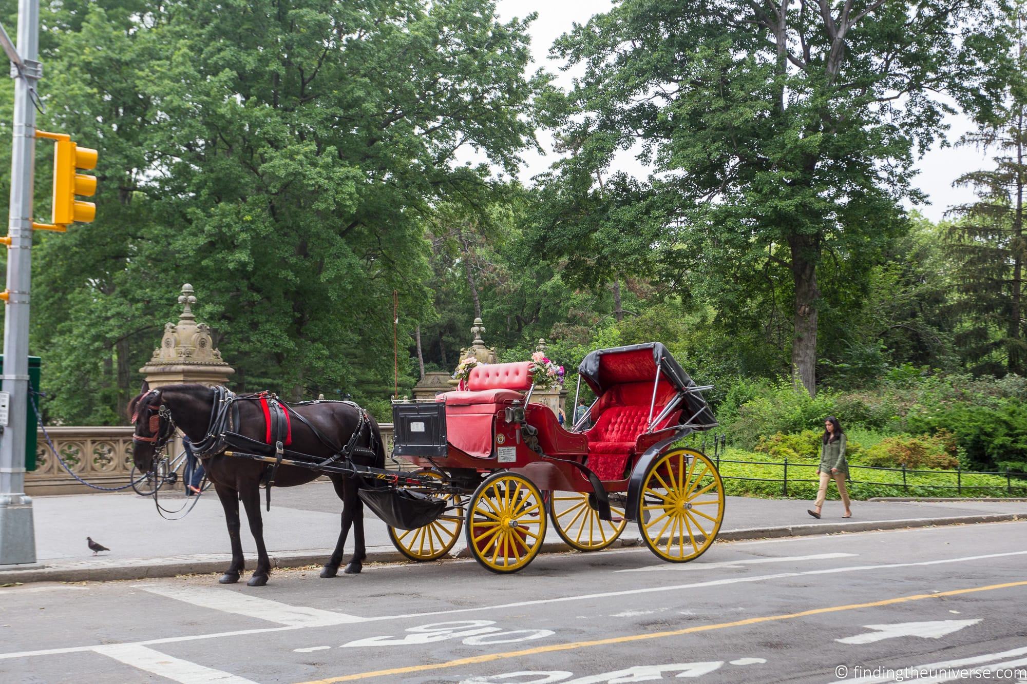 New York Transport Carriage in Central Park