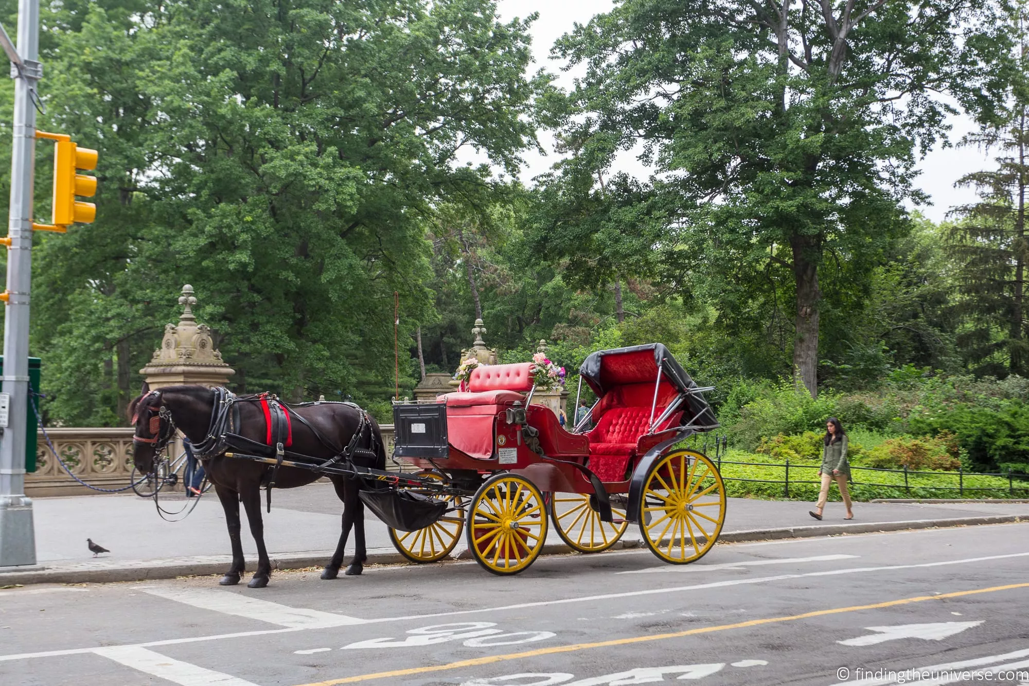 Horse carriage in Central Park