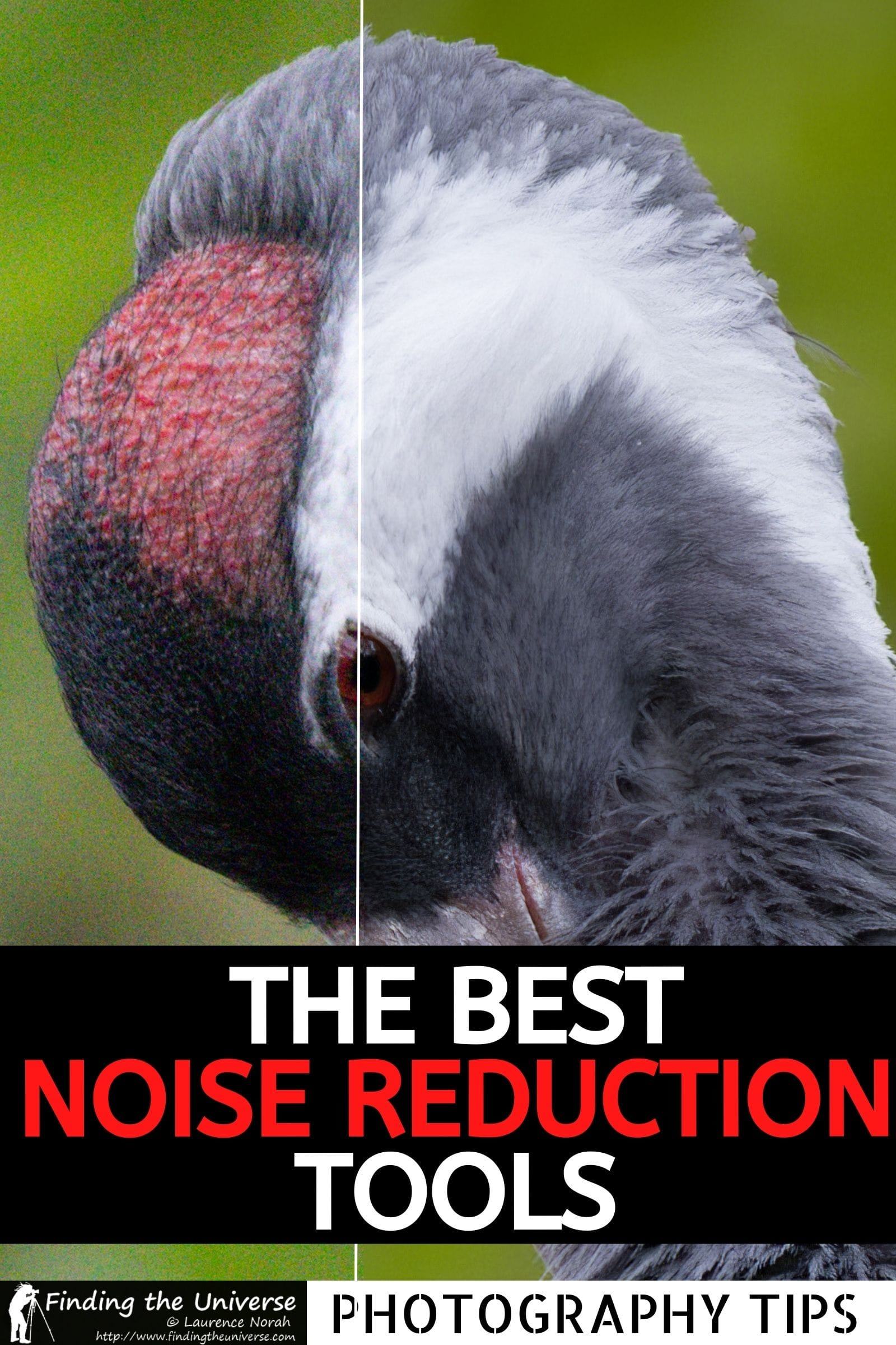 Comparison of the best noise reduction software for photography. Includes Topaz DeNoise AI, On1 NoNoise AI, DxO PureRAW and Adobe Lightroom