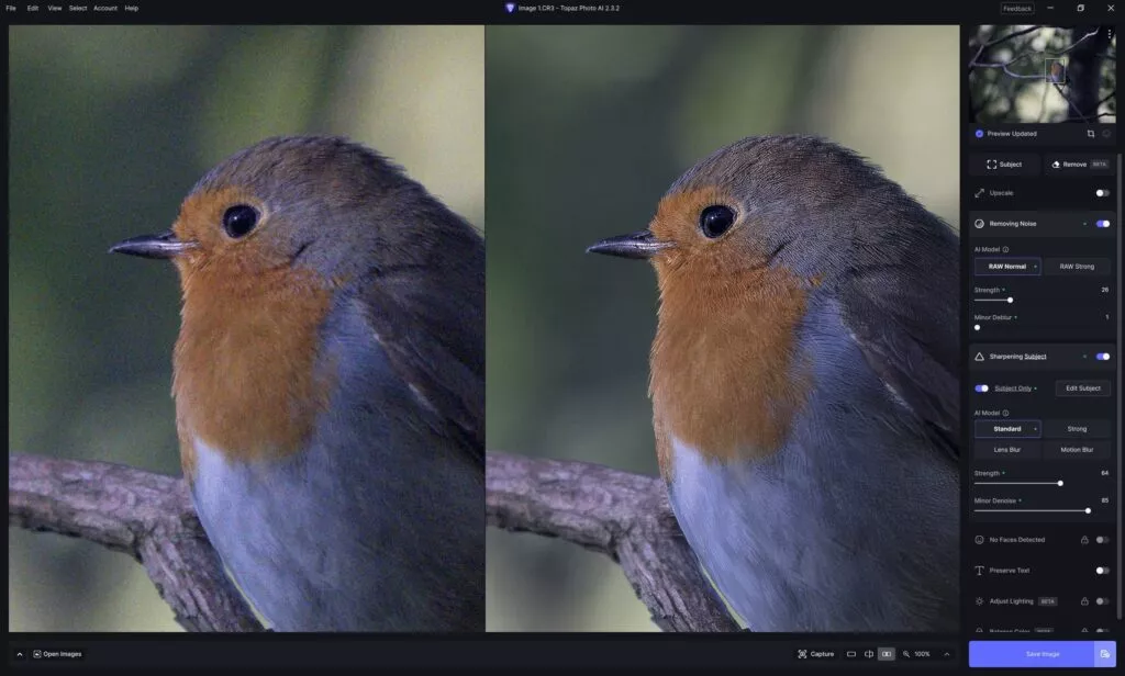 Topaz Photo interface