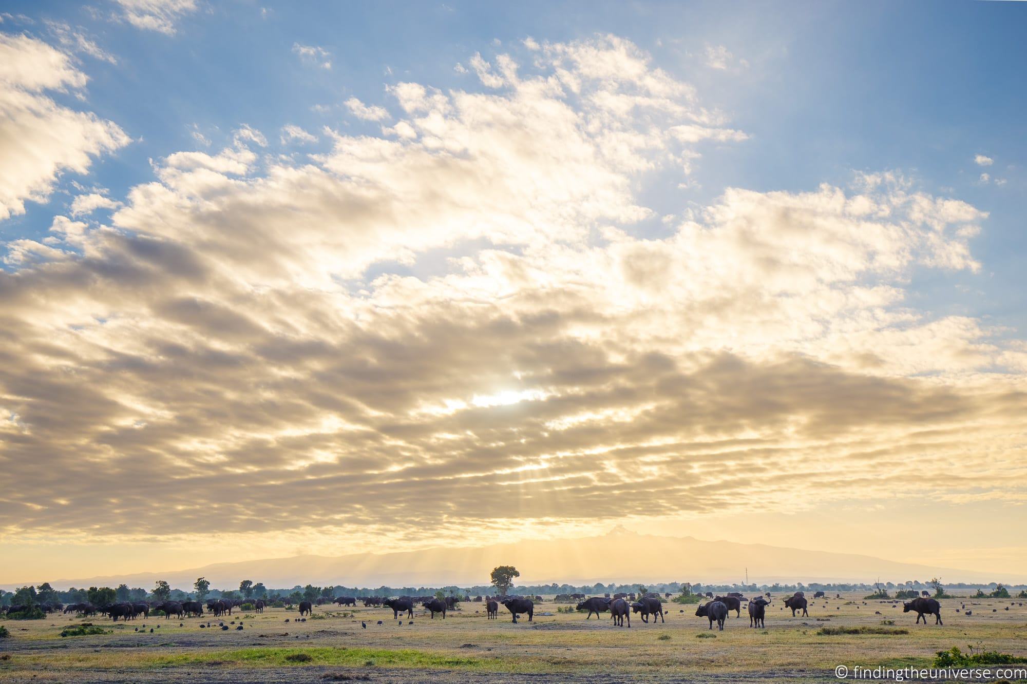 Mount Kenya at sunrise