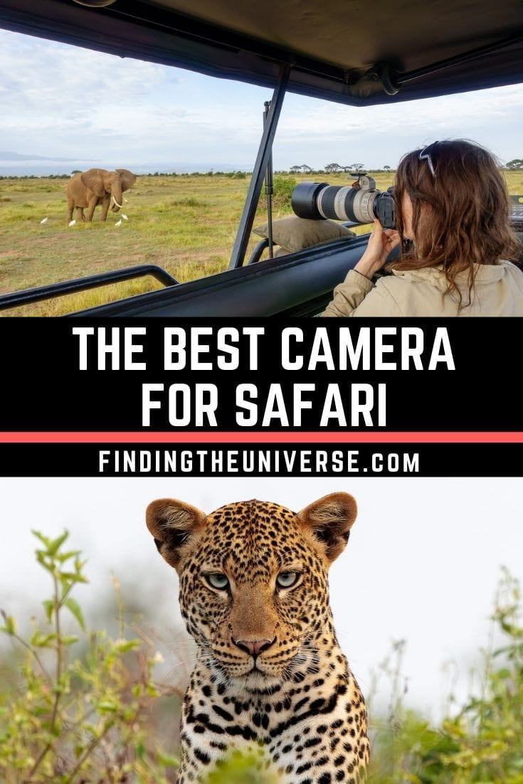 A detailed guide to the best cameras for safari, with what to look for as well a guide to lenses and accessories for safari photography