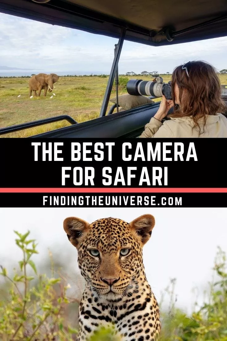 A detailed guide to the best cameras for safari, with what to look for as well a guide to lenses and accessories for safari photography
