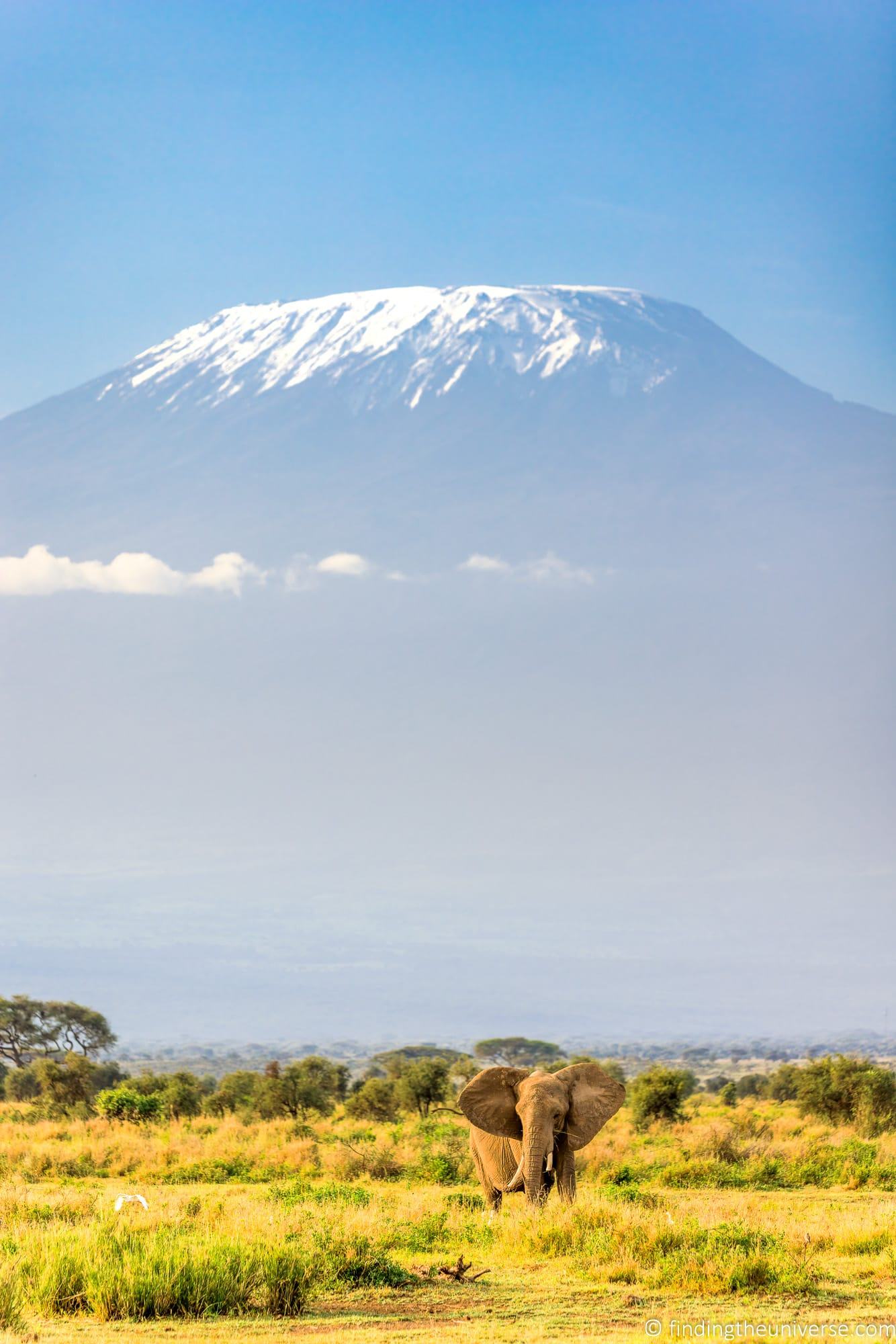 Elephant in front of Mount Kilimanjaro Amboseli National Park