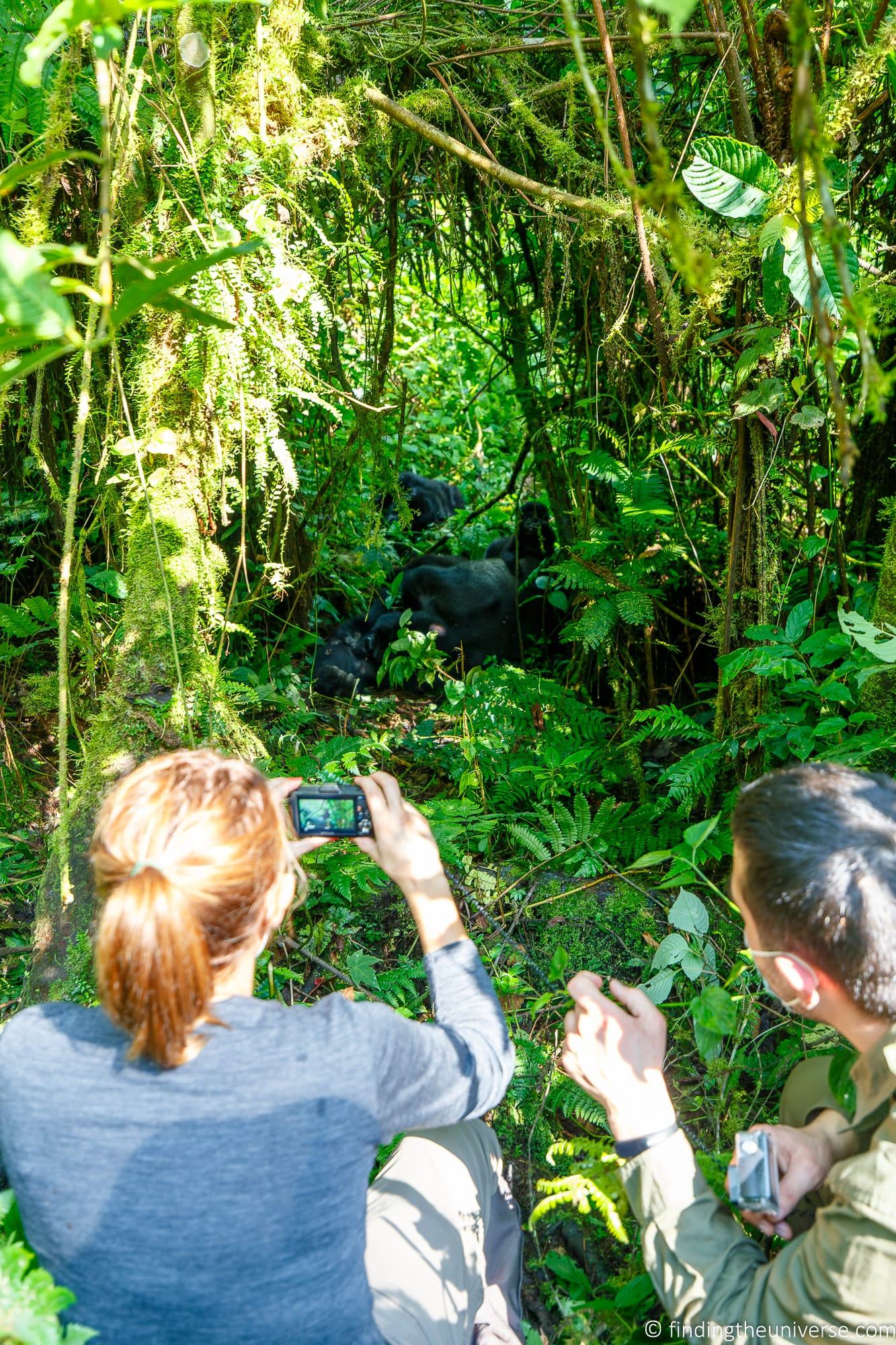 gorilla trekking travel guide