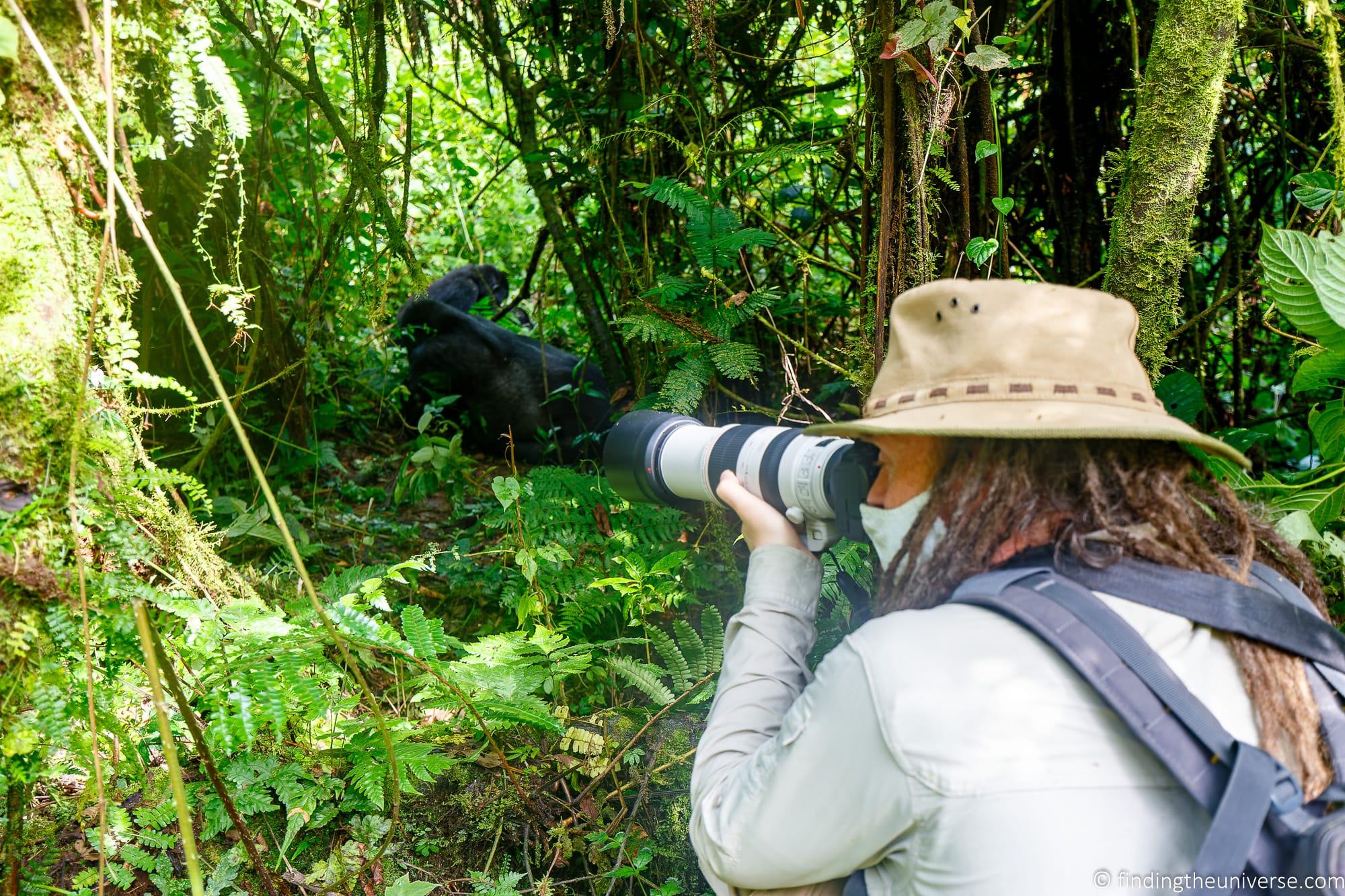 Gorilla Trekking in Uganda