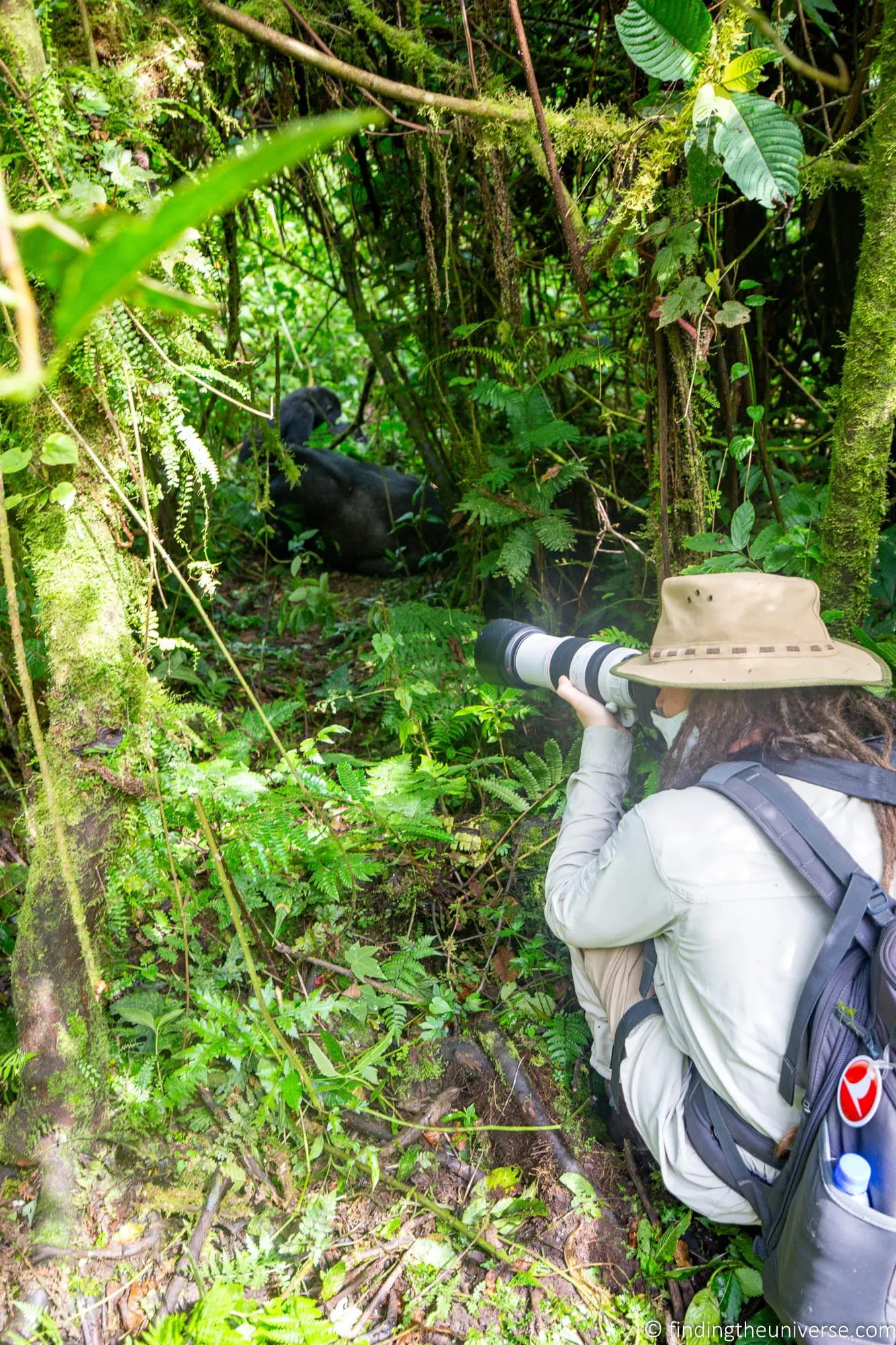 Gorilla Trekking in Uganda