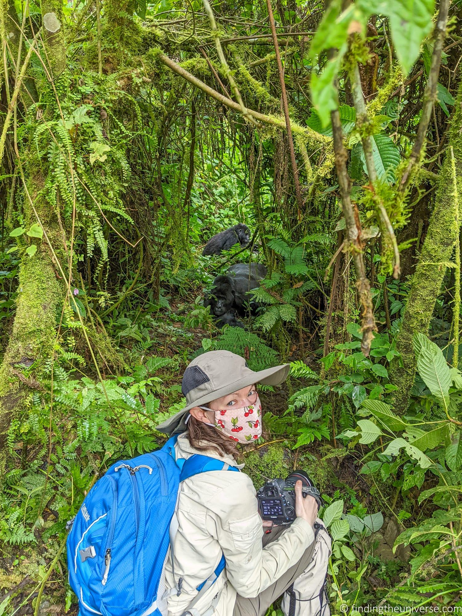 Gorilla Trekking in Uganda