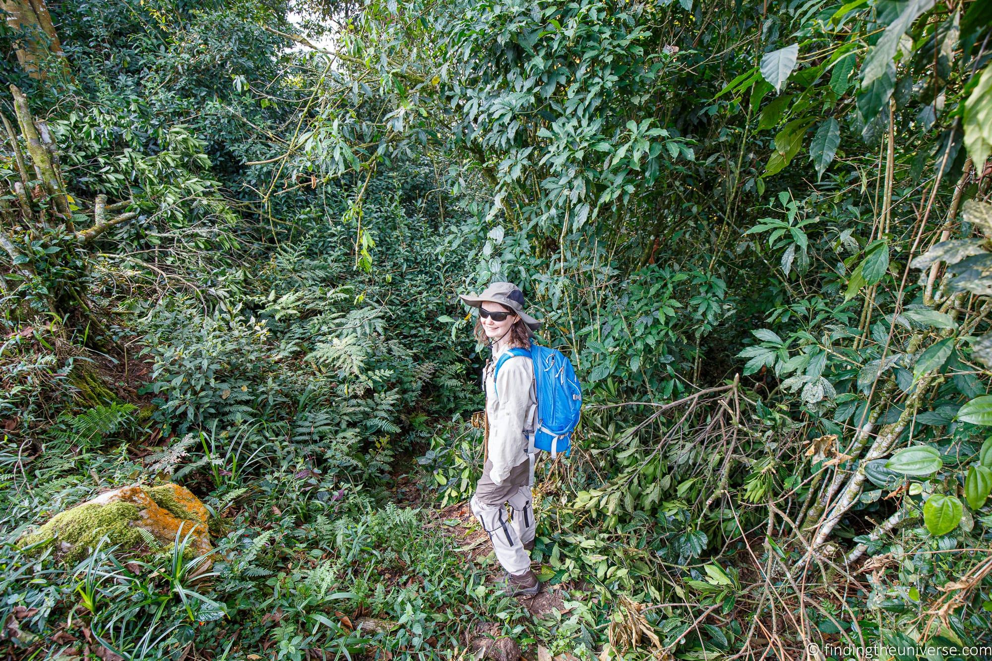 Gorilla Trekking in Uganda