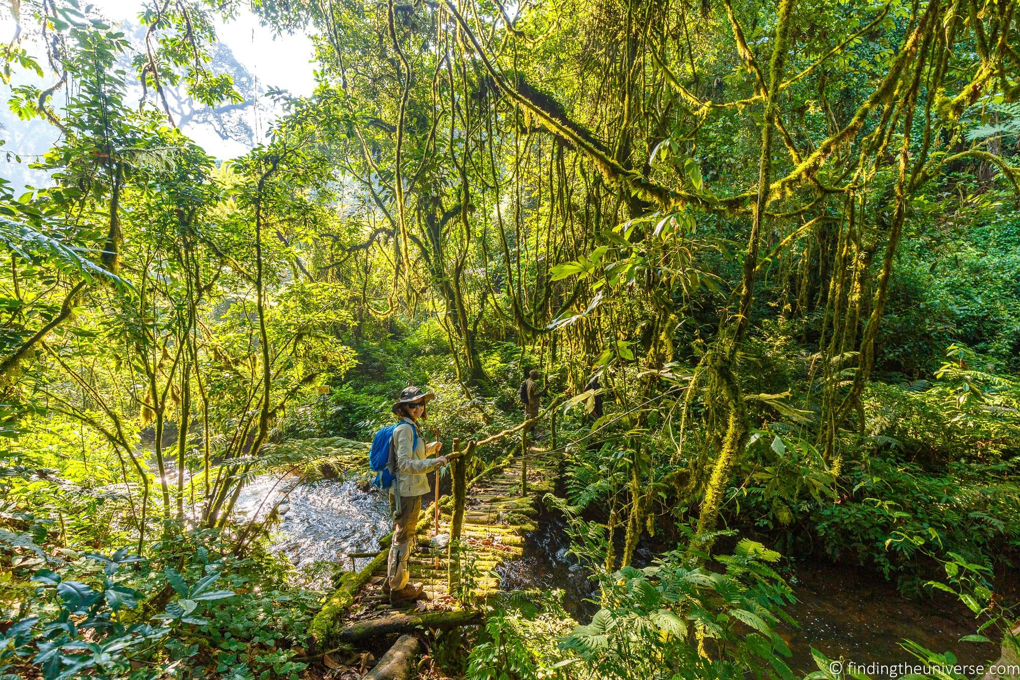 Gorilla Trekking in Uganda