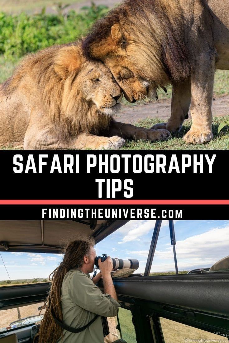 Safari photography tips - a detailed guide to taking better photos on safari. Tips on choosing camera equipment, composition and more!