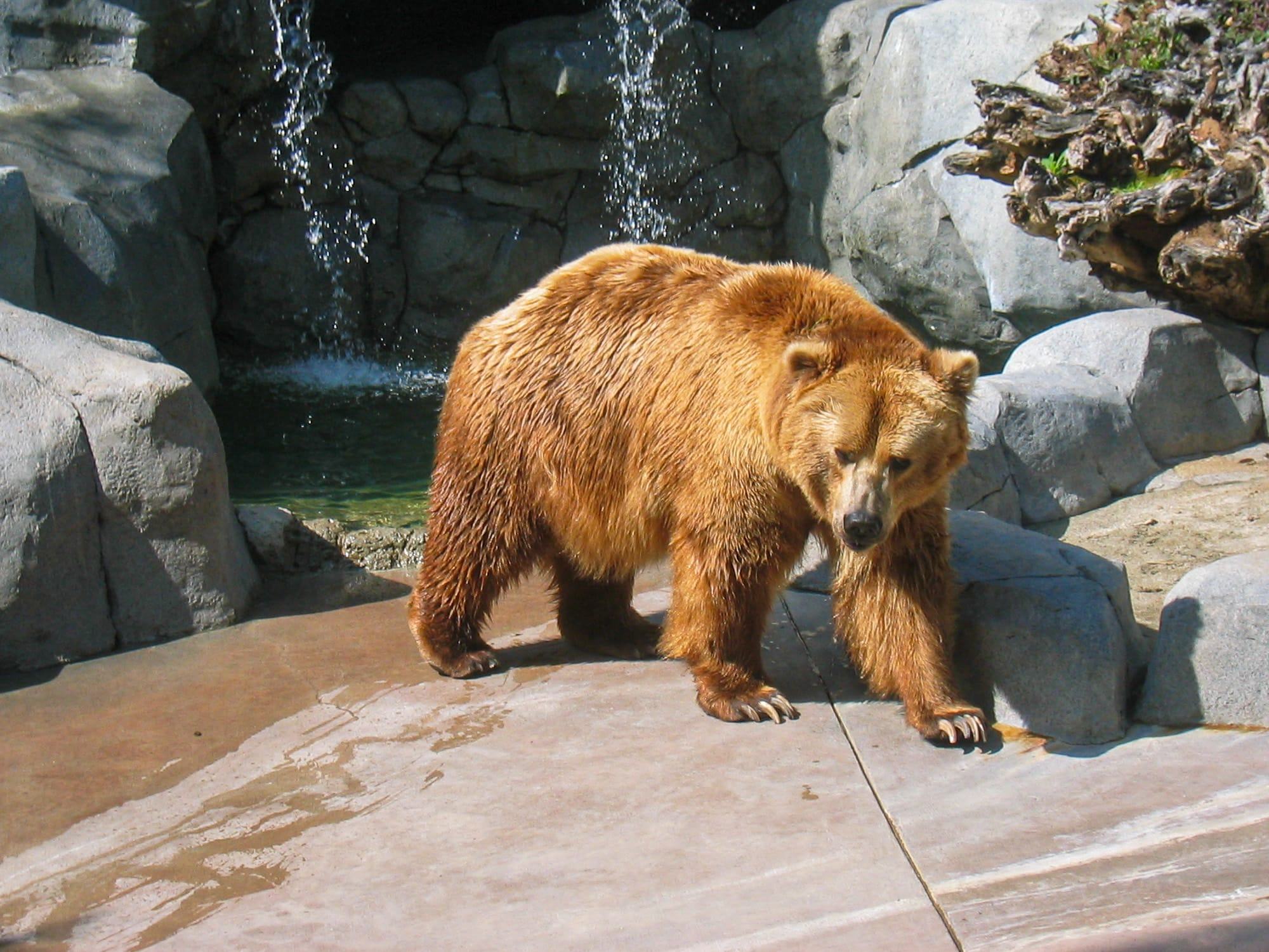 San Diego Zoo