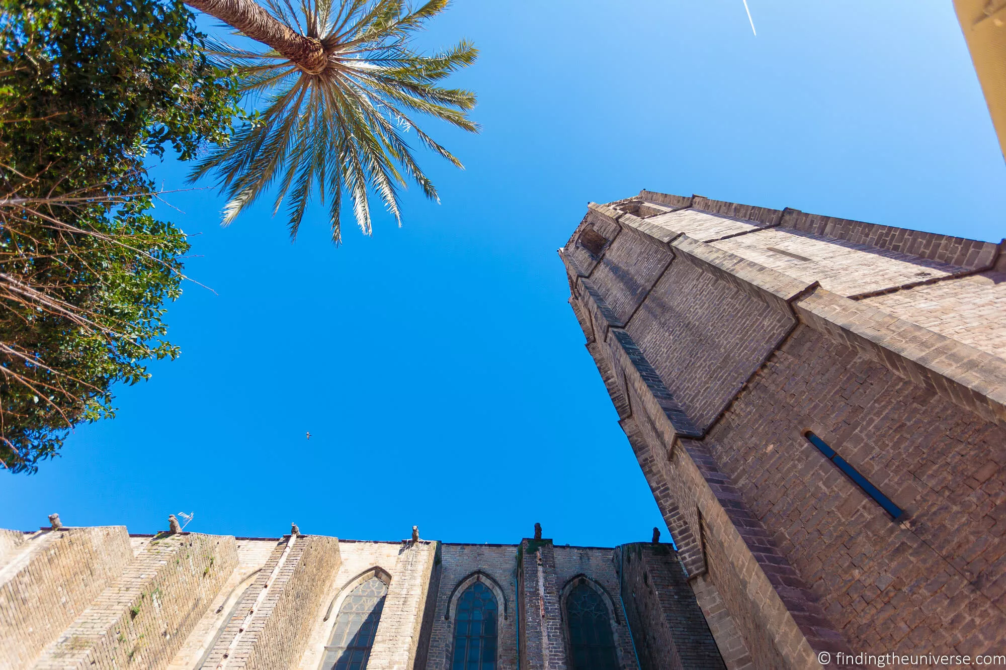 Santa Maria Del Pi Barcelona_by_Laurence Norah