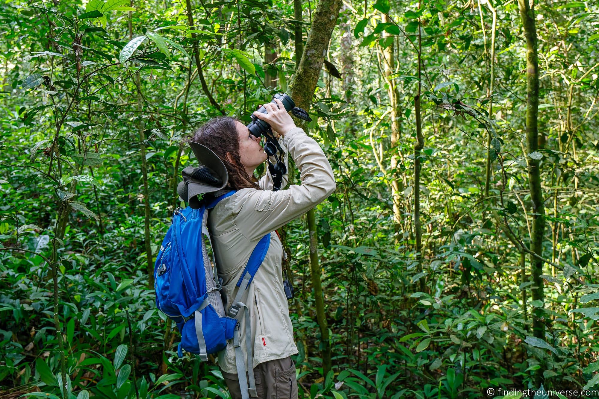 Chimpanzee Trekking Uganda