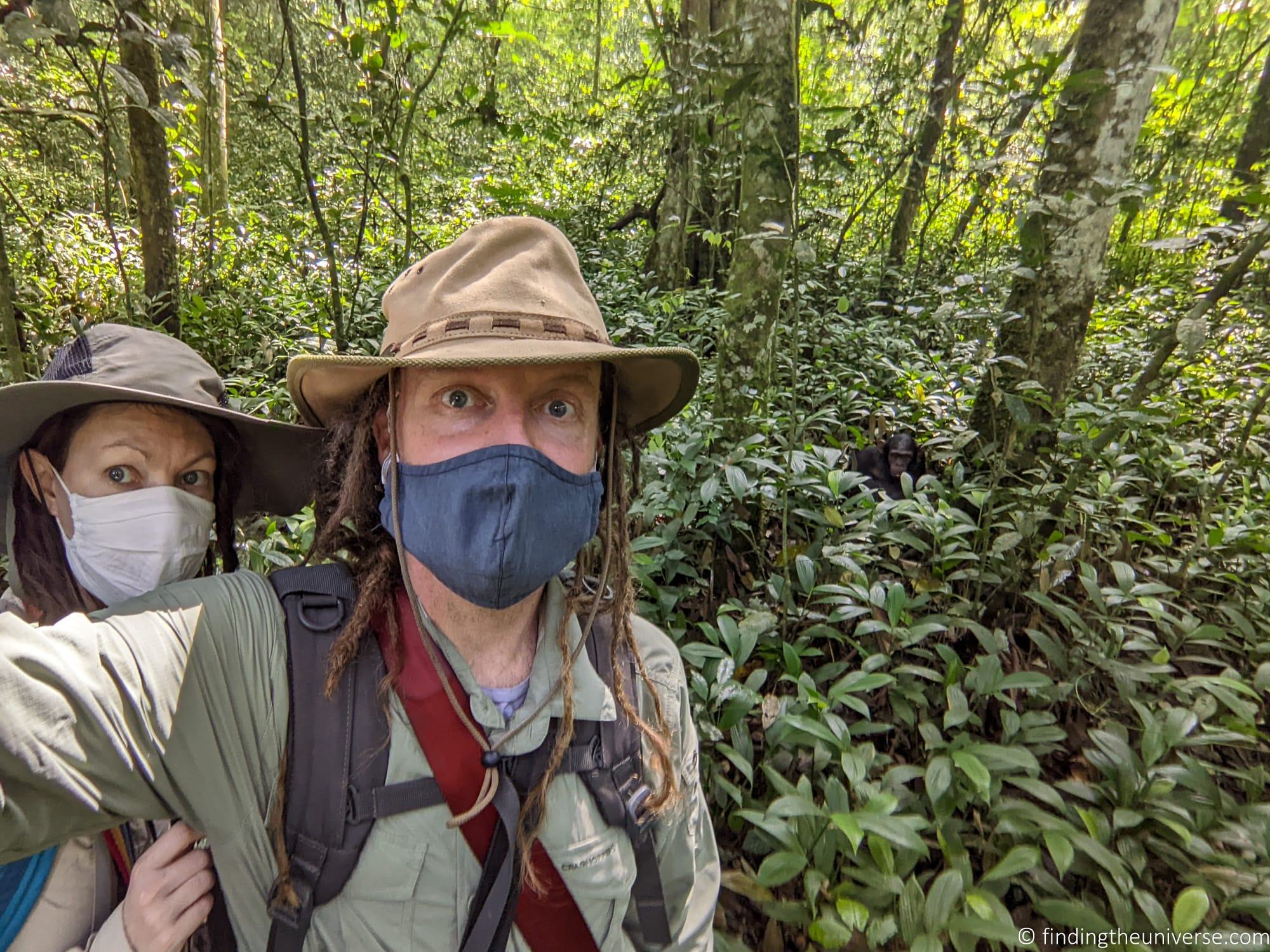 Chimpanzee Trekking Uganda