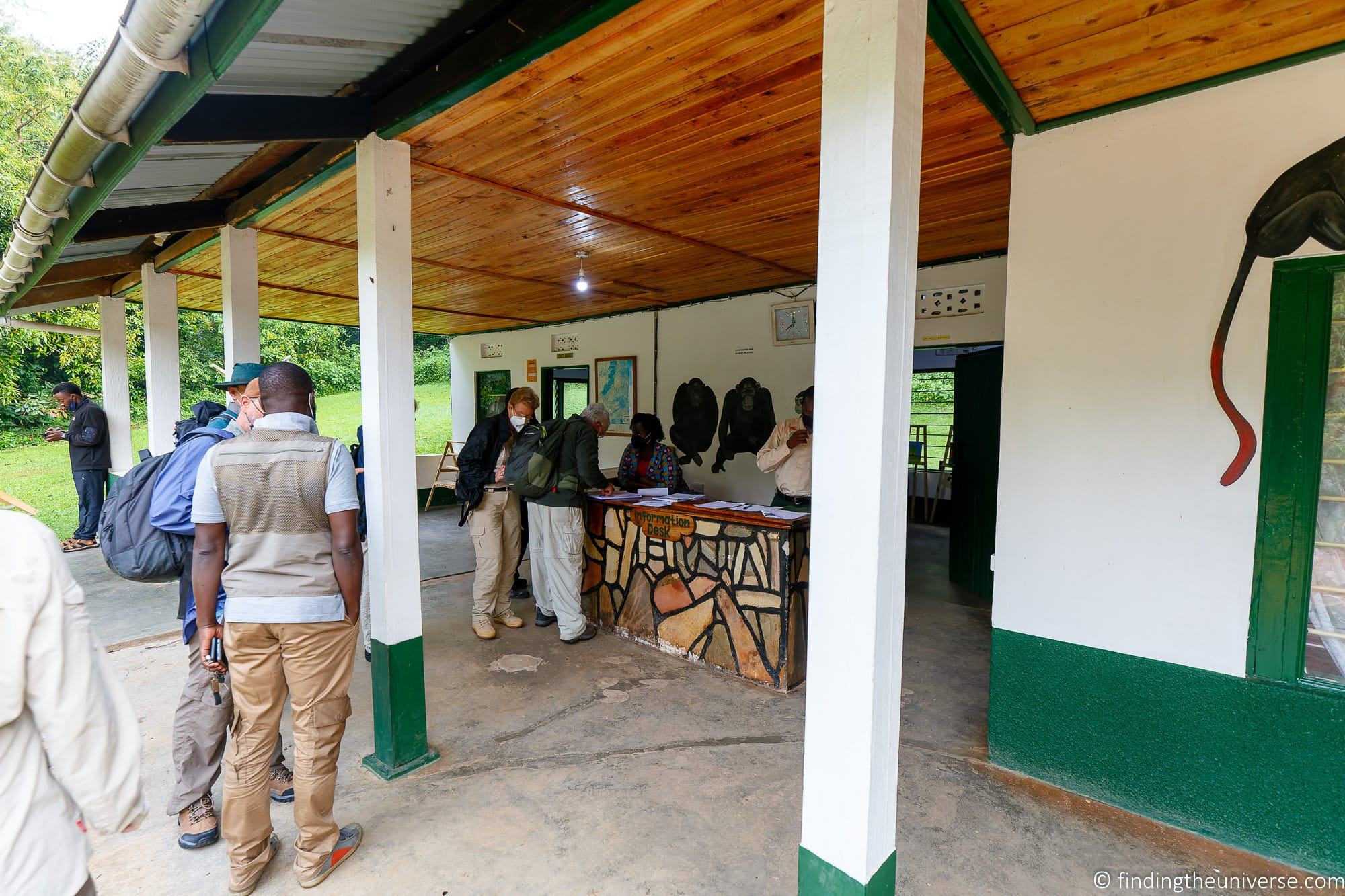 Chimpanzee Trekking Uganda