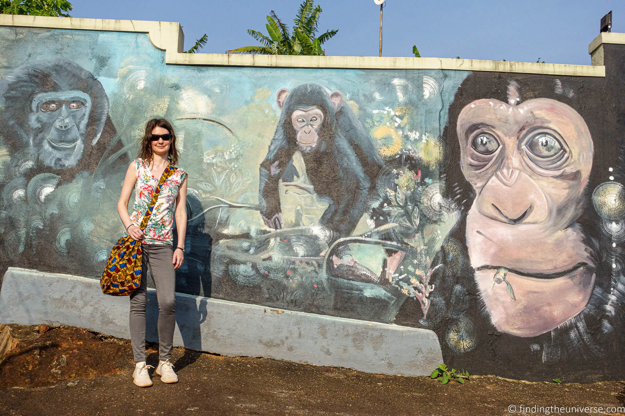 Chimpanzees Entebbe_by_Laurence Norah