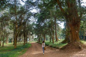 Entebbe Botanical Garden_by_Laurence Norah