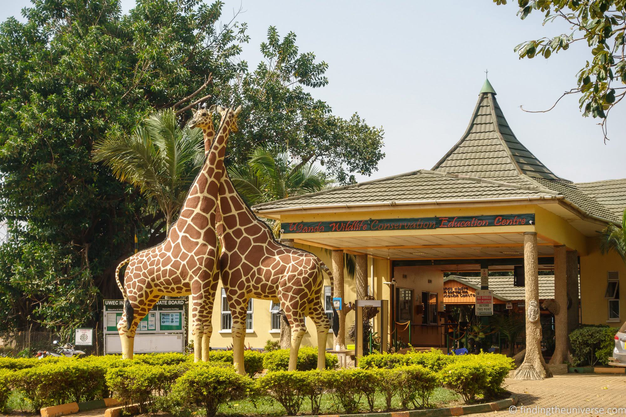 Entebbe Zoo_by_Laurence Norah