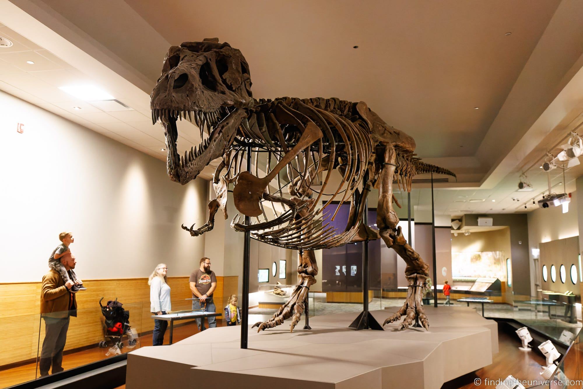 Entrance to Field Museum Chicago