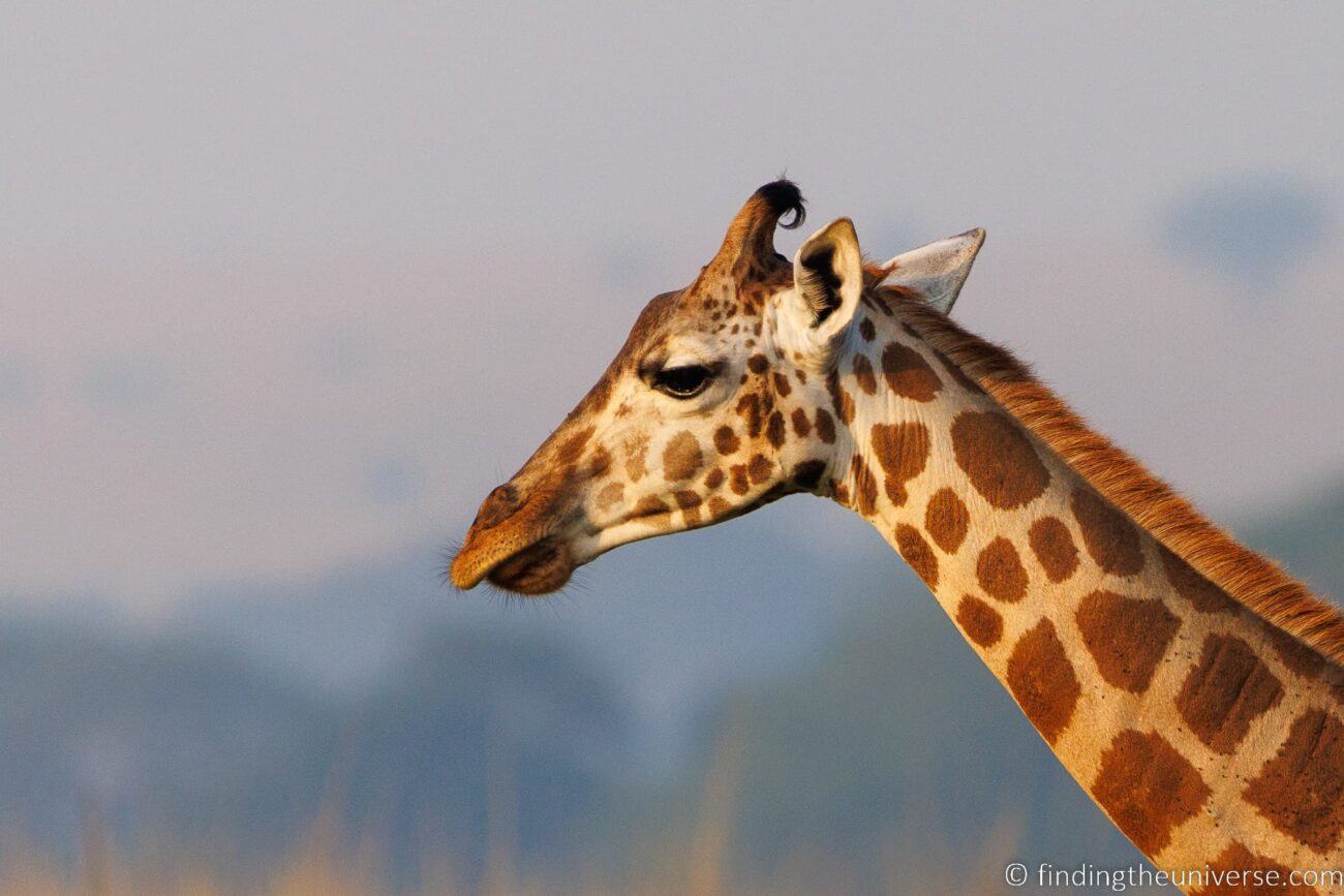 Heat Haze in Photography What It Is, How to Avoid It and How to Fix It