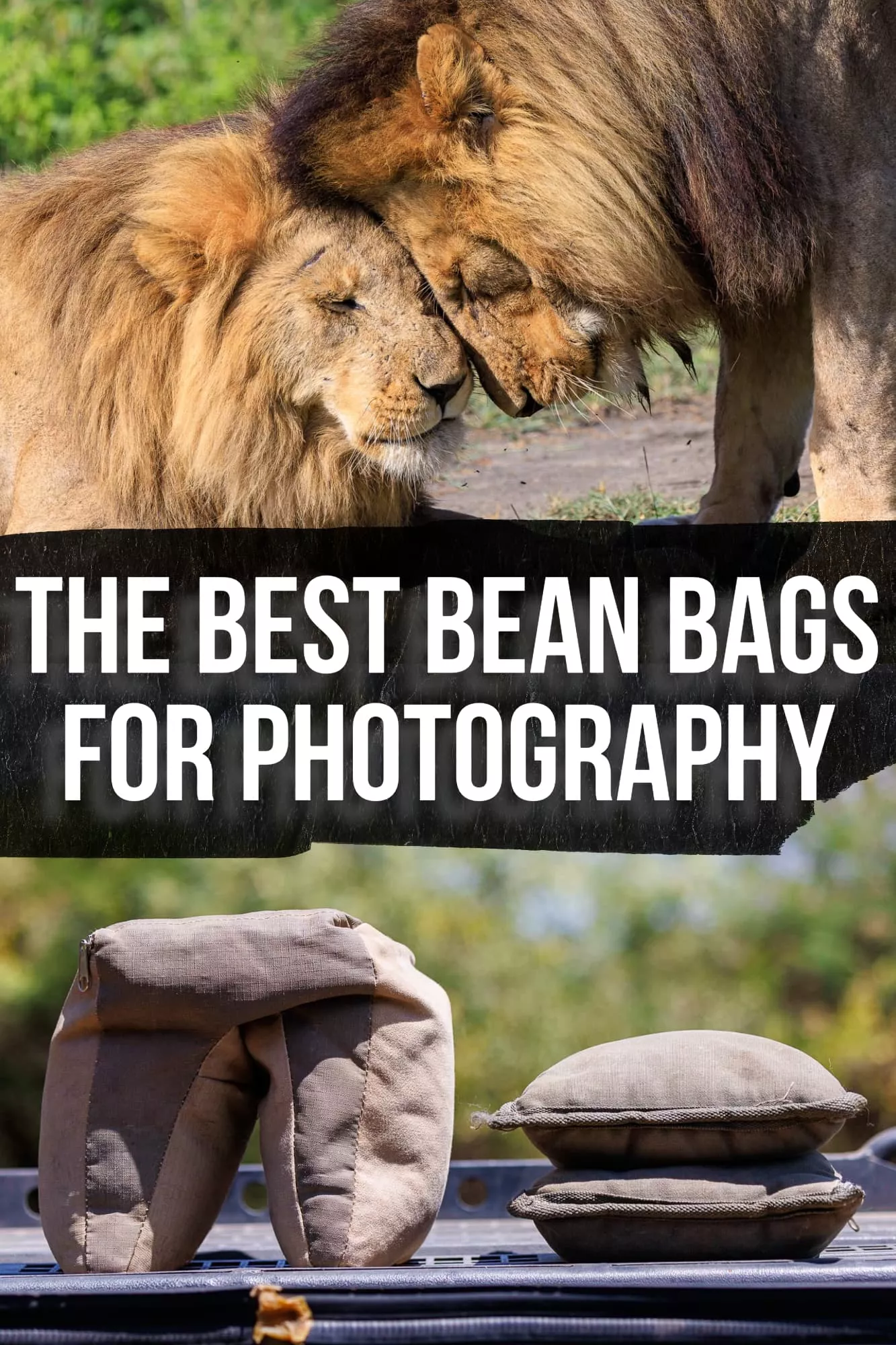 Photography bean bags