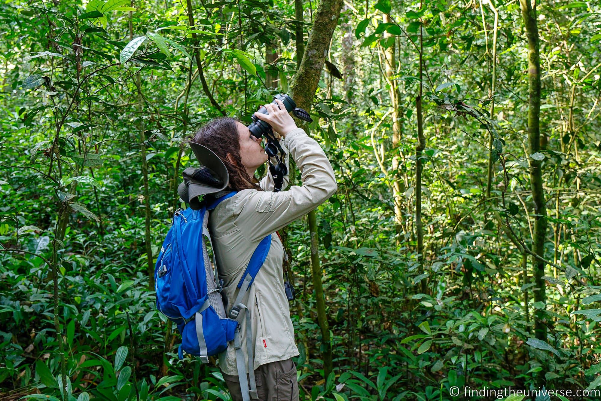 Chimpanzee Trekking Uganda