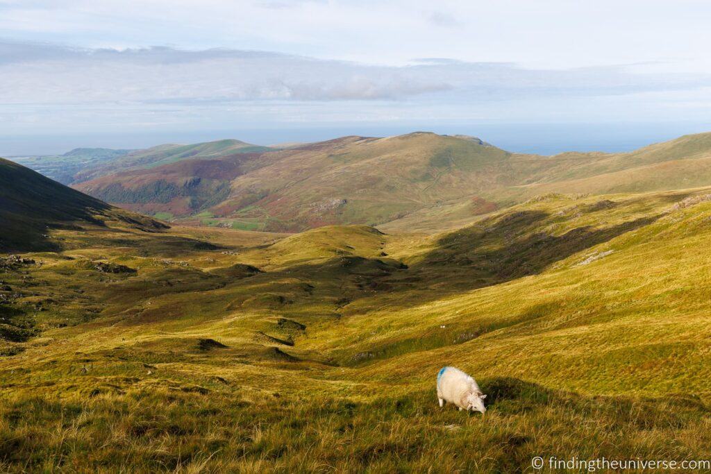 Cadair Idris Hike Wales