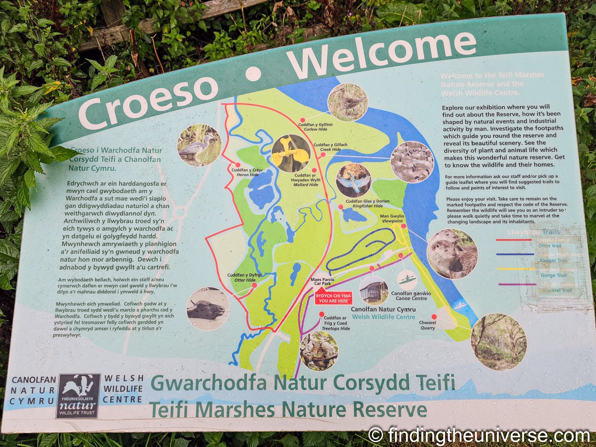 Wales multilingual sign