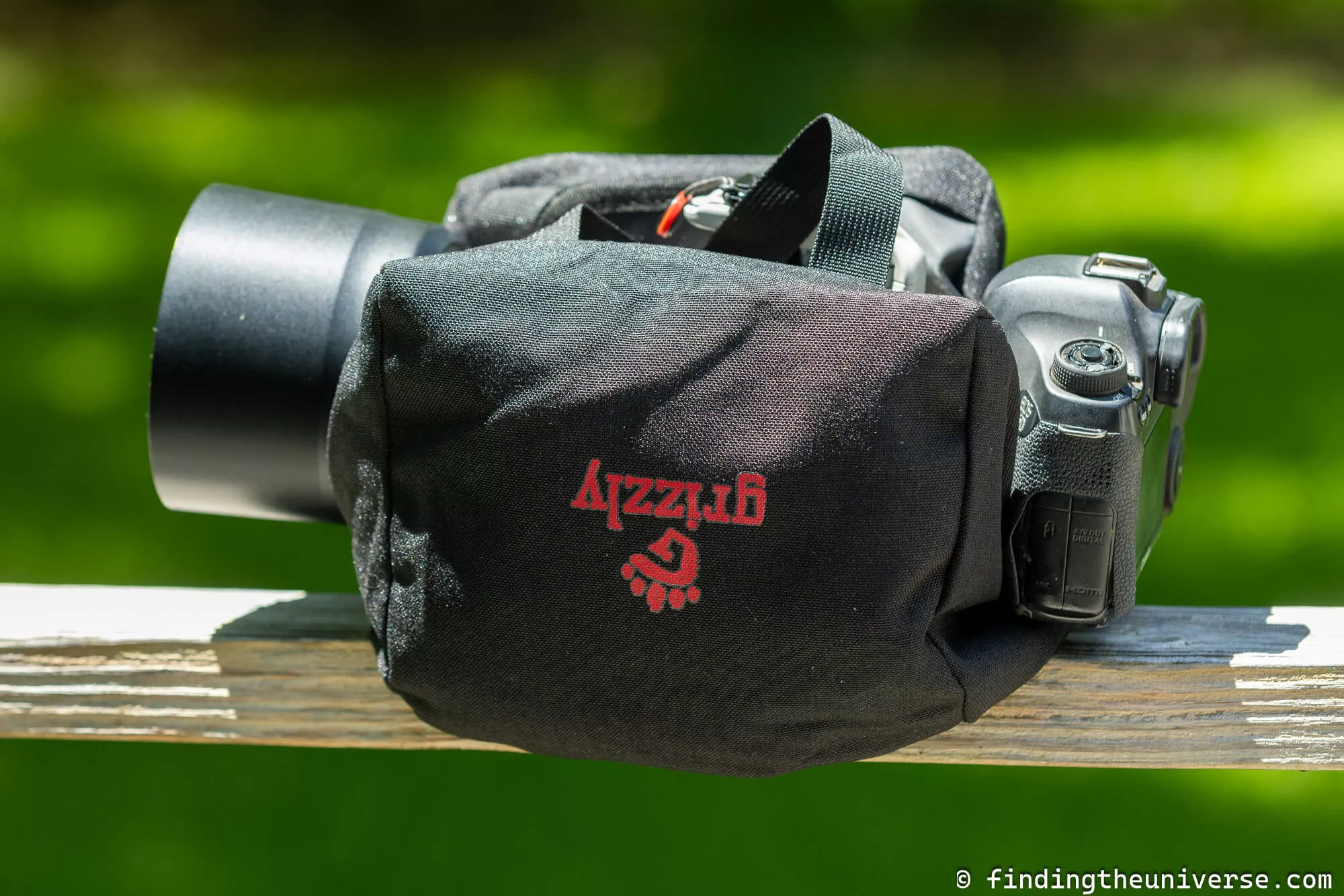 Grizzly photography bean bag by Laurence Norah