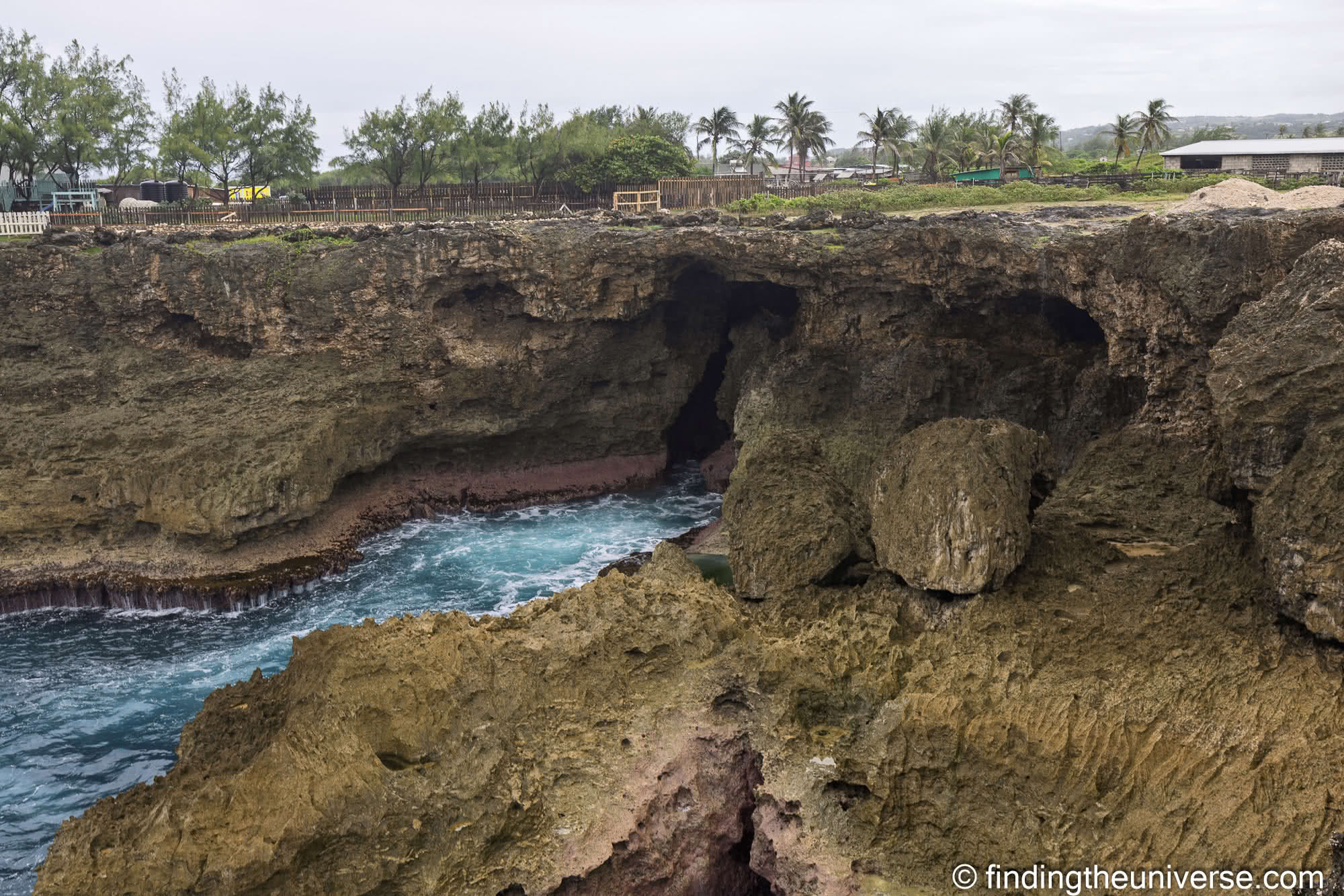 Animal Flower Cave and Restaurant Barbados by Laurence Norah
