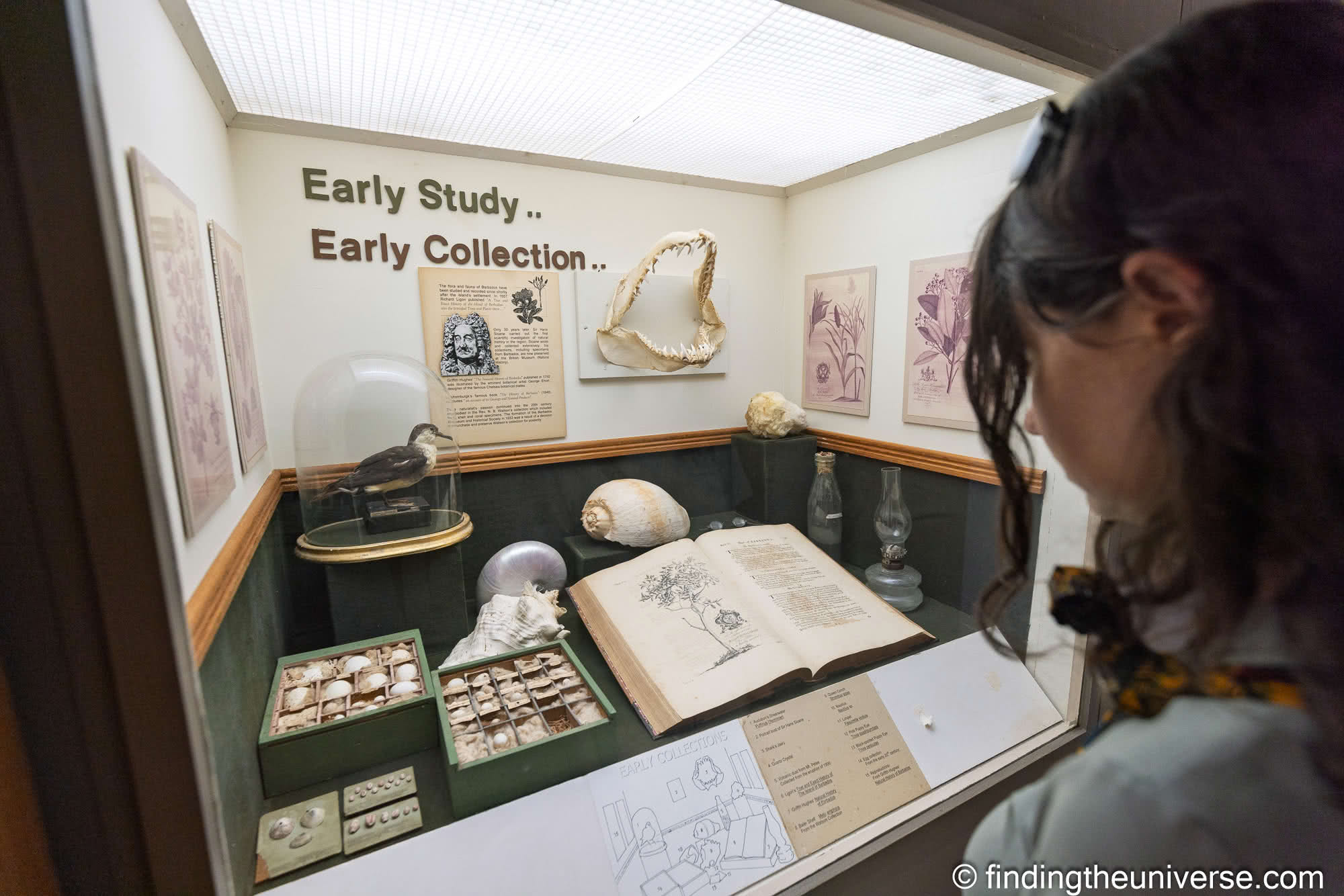 Barbados Museum and Historical Society by Laurence Norah