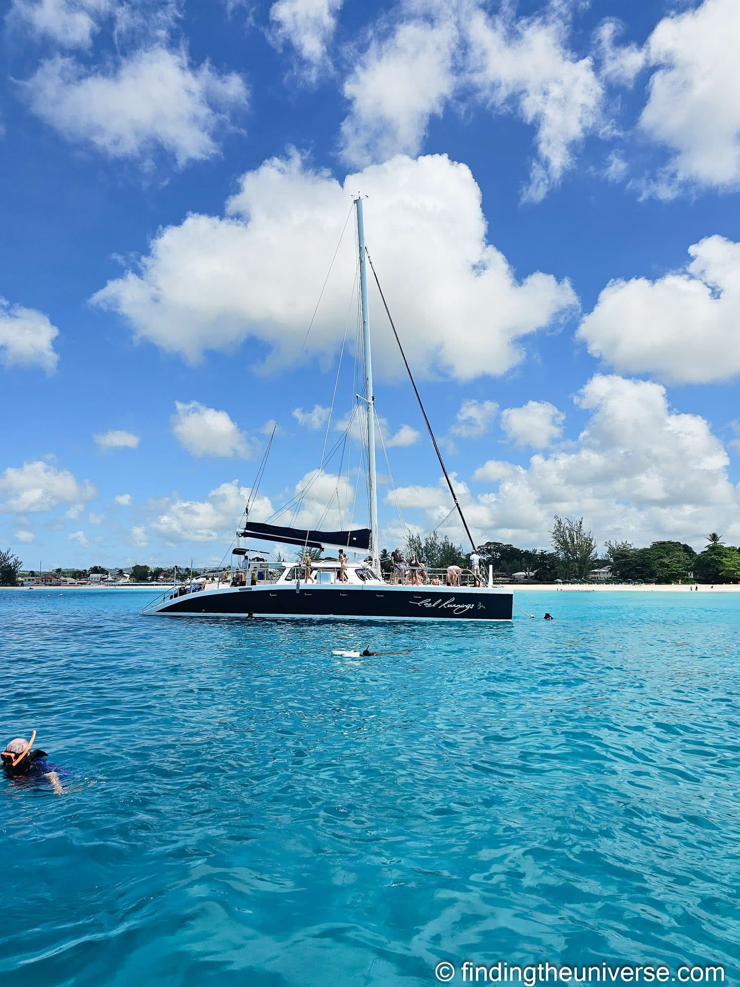 Catamaran Barbados by Laurence Norah-2