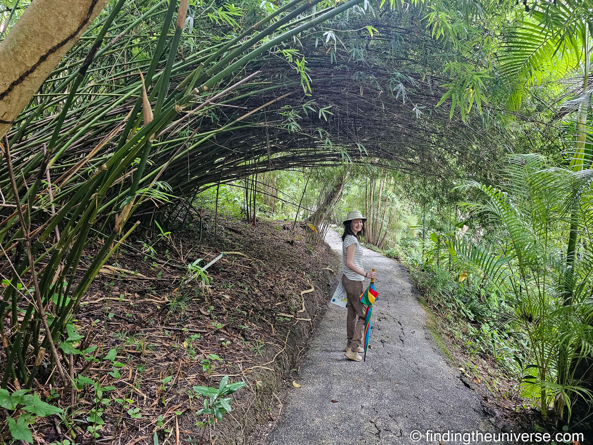 Flower Forest Botanical Garden Barbados by Laurence Norah