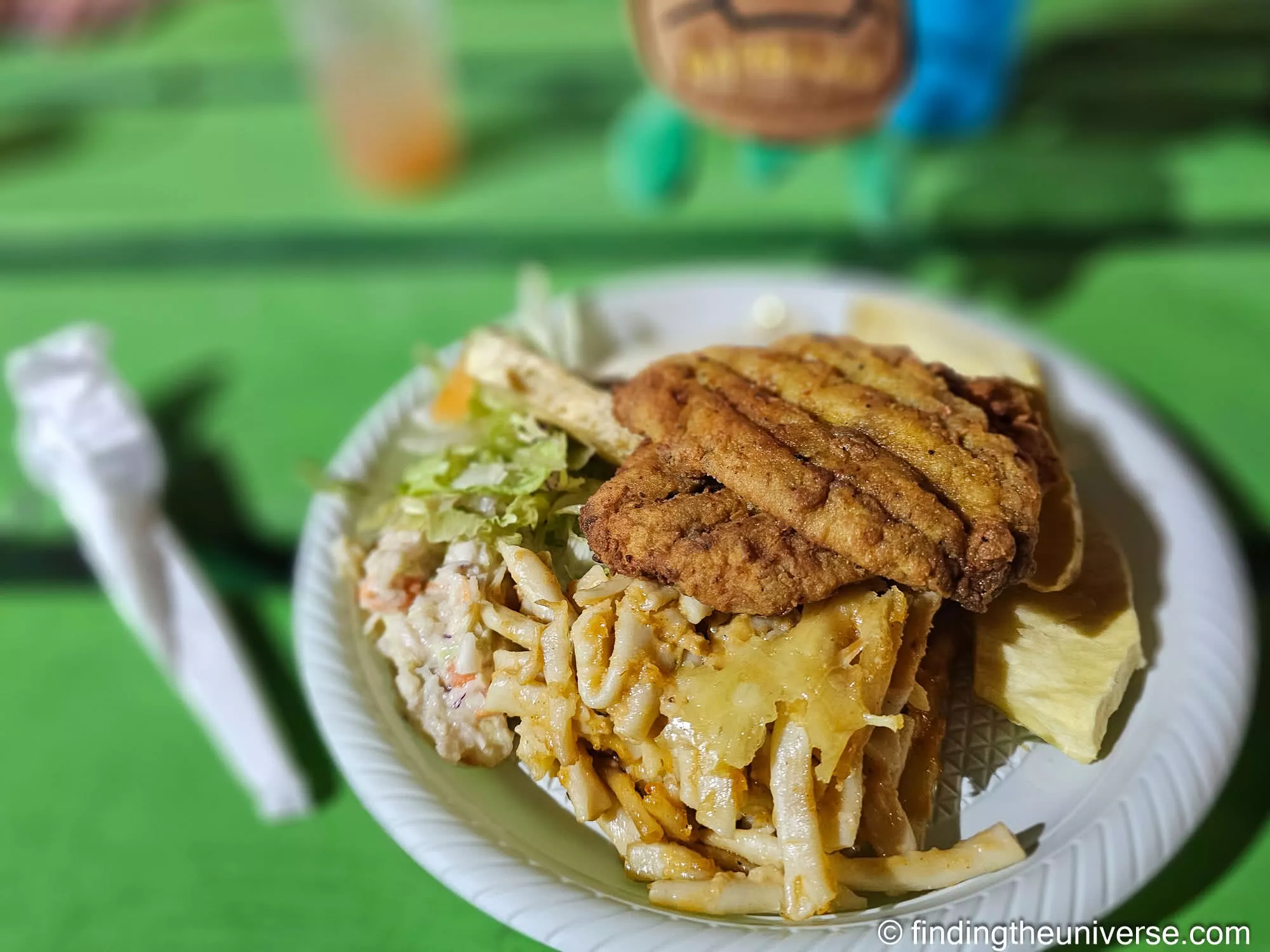 Fried Flying Fish Oistins Fish Fry Barbados by Laurence Norah