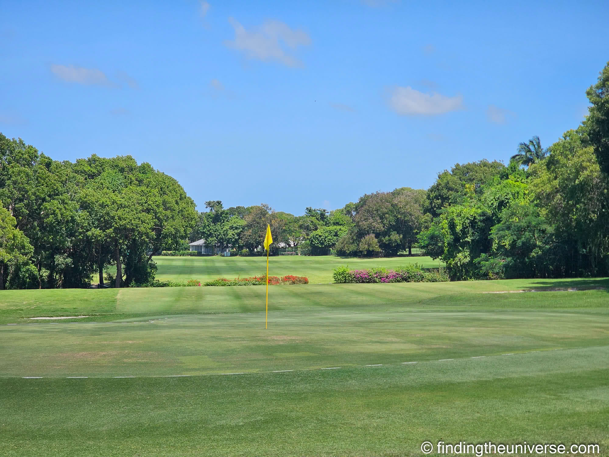 Golf in Barbados by Laurence Norah
