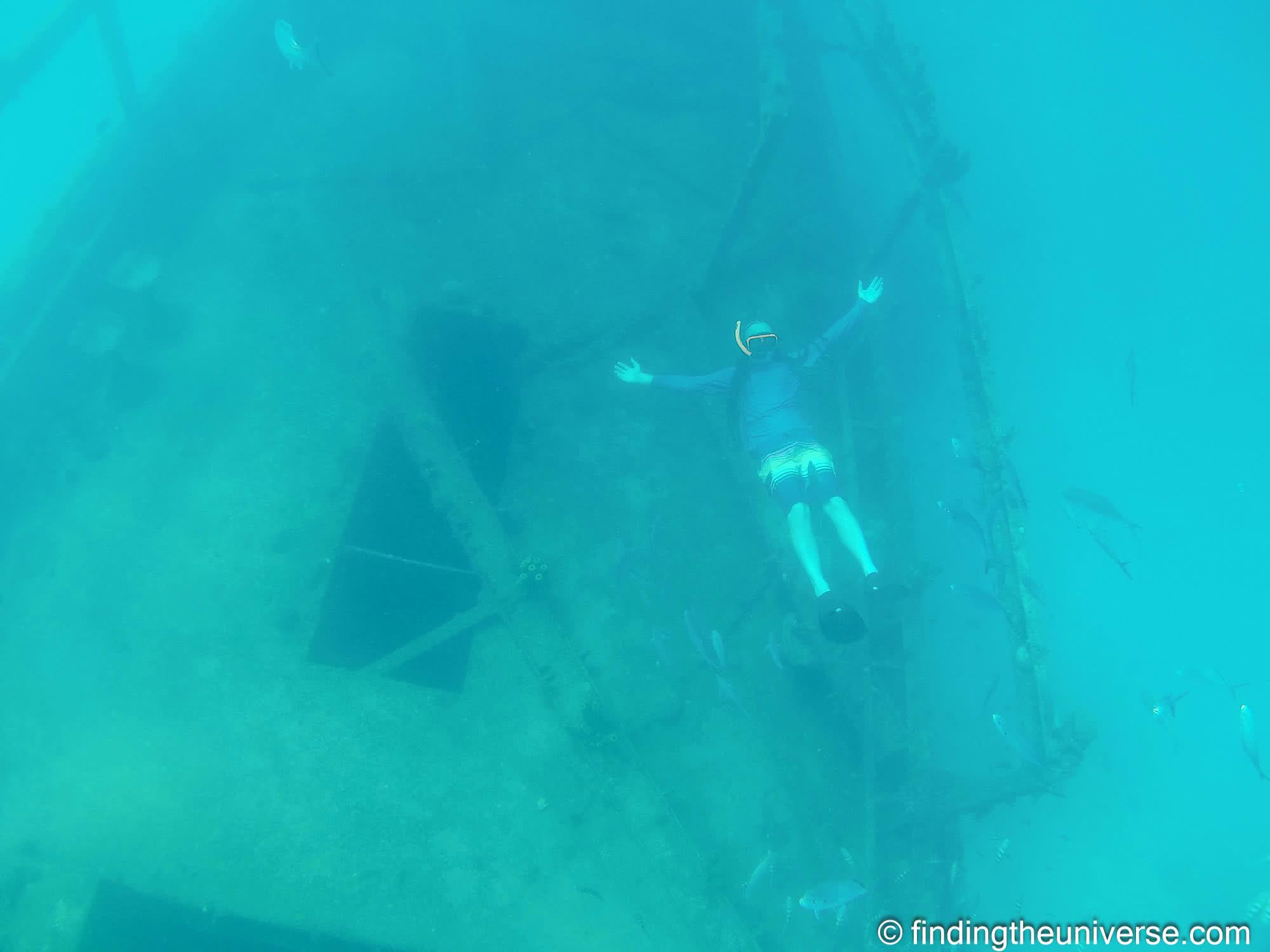 Snorkelling barbados by Laurence Norah